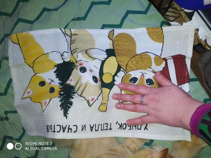 Фотография покупателя товара Набор новогодних полотенец Доляна «Помурчим в новом году» 28×46 см - 3штуки, 100% хлопок, вафля 160 г/м² - Фото 2