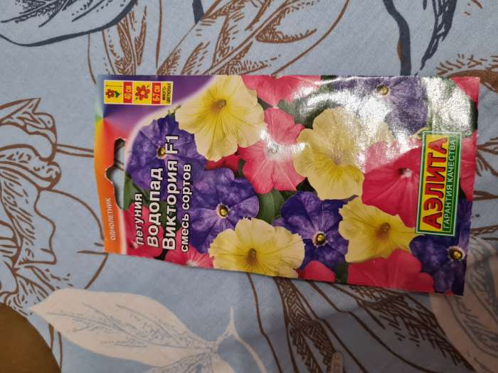 Фотография покупателя товара Семена Петуния Водопад Виктория F1 обильноцветущая, смесь окрасок 7 шт - Фото 1