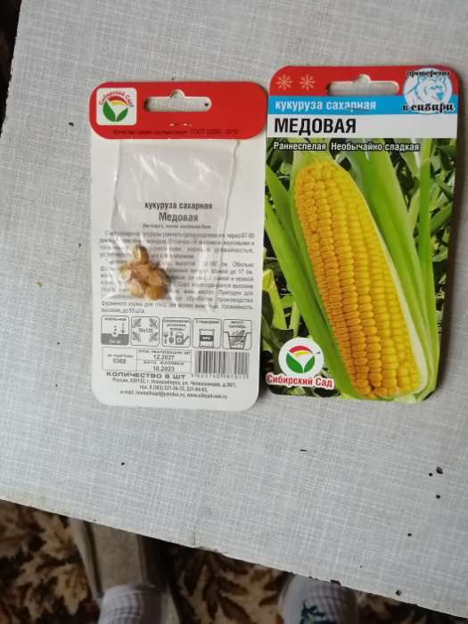 Фотография покупателя товара Семена Кукуруза "Медовая", 6 шт. - Фото 2