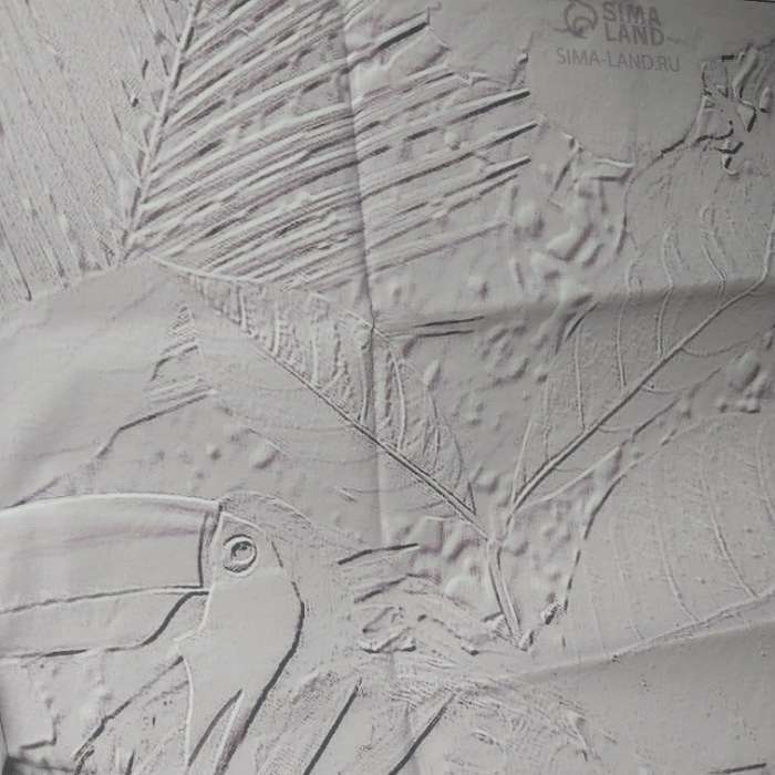 Фотография покупателя товара Фотофон для съёмок, винил «Барельеф птицы», 120×80 см - Фото 4