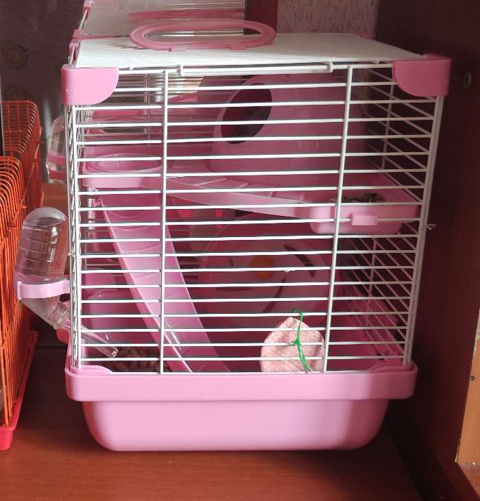 Фотография покупателя товара Клетка для грызунов укомплектованная, 23 х 19 х 28 см, розовая - Фото 3