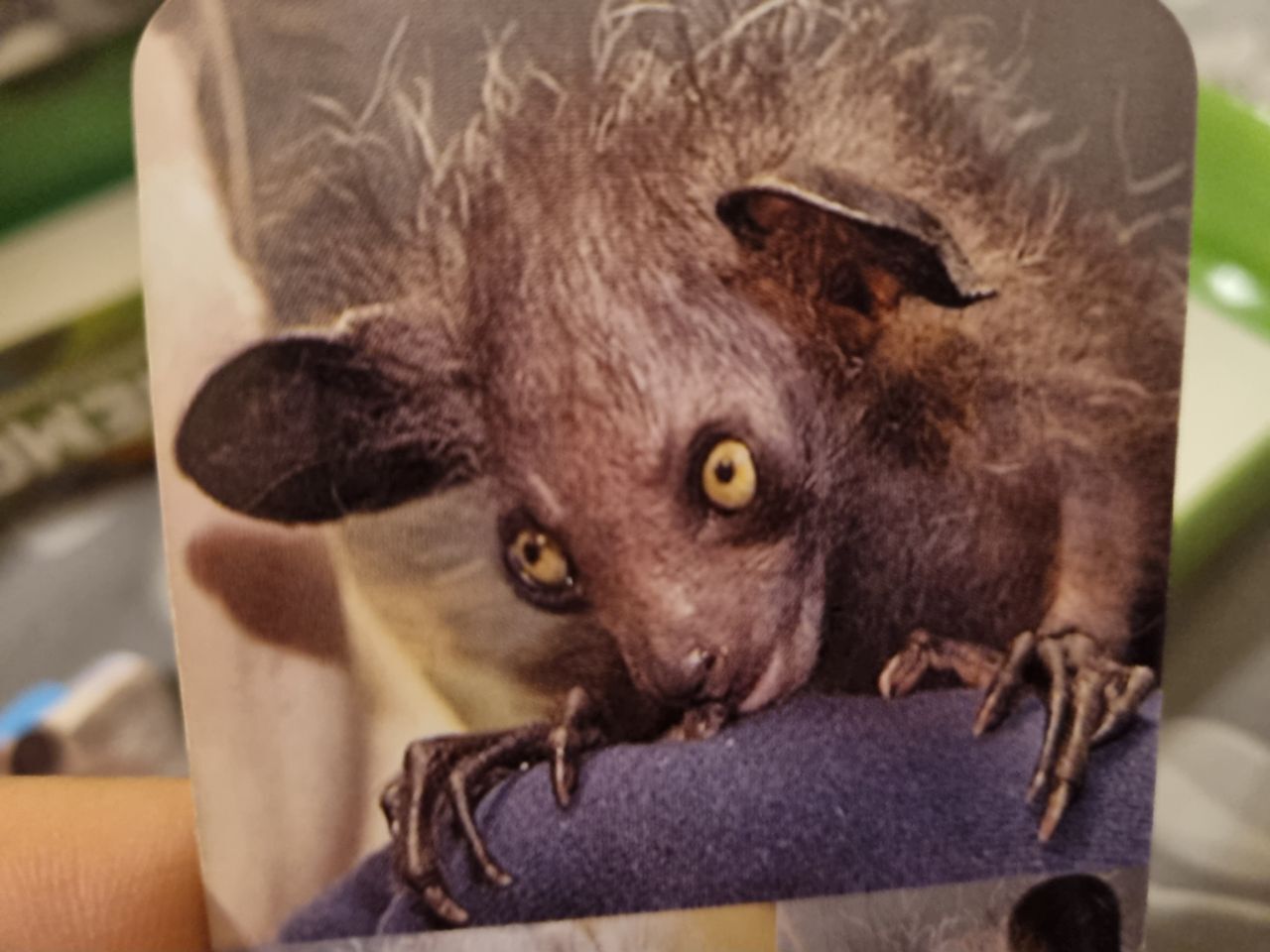 Фотография покупателя товара Настольная игра «Мемо. Удивительные животные», 50 карточек + познавательная брошюра - Фото 3