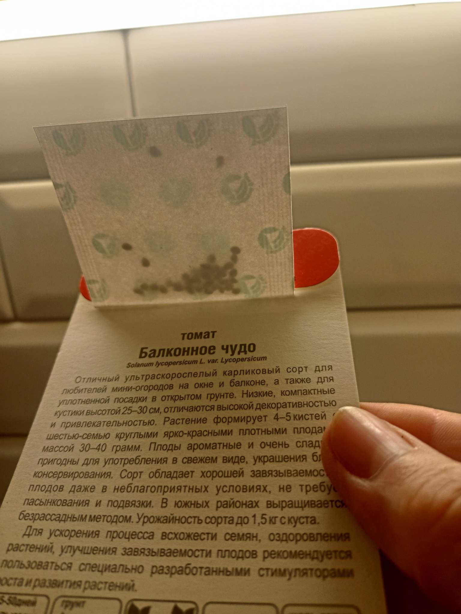 Фотография покупателя товара Семена Томат «Балконное чудо», ультраскороспелый, детерминантный, низкорослый, 20 шт., «Сибирский сад» - Фото 1
