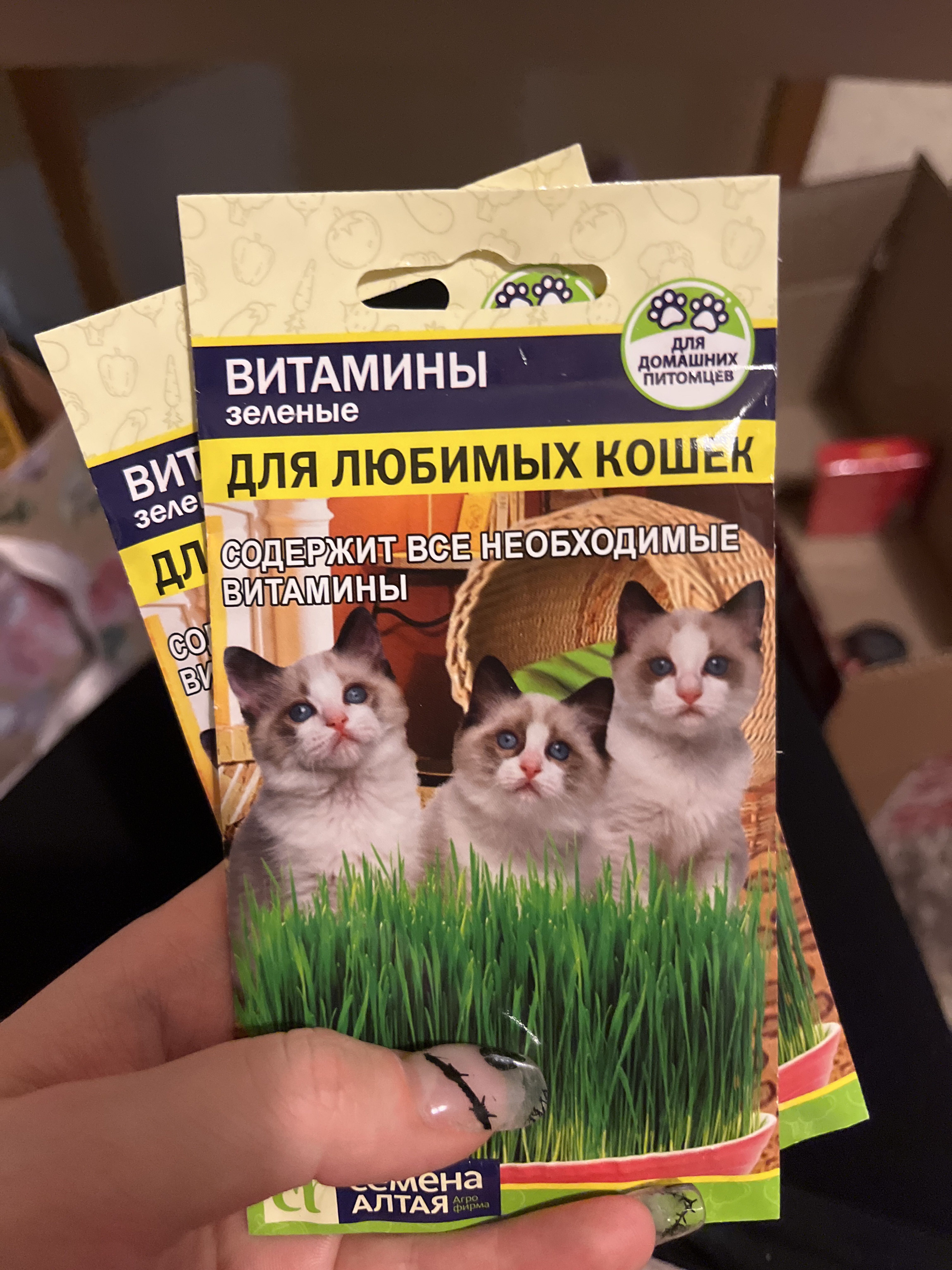 Фотография покупателя товара Семена Зеленые Витамины для любимых Кошек, ц/п, 10 г - Фото 1