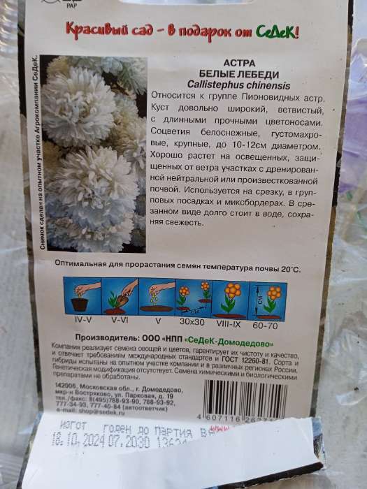 Фотография покупателя товара Семена Цветов Астра "Белые лебеди "0.2 г - Фото 3
