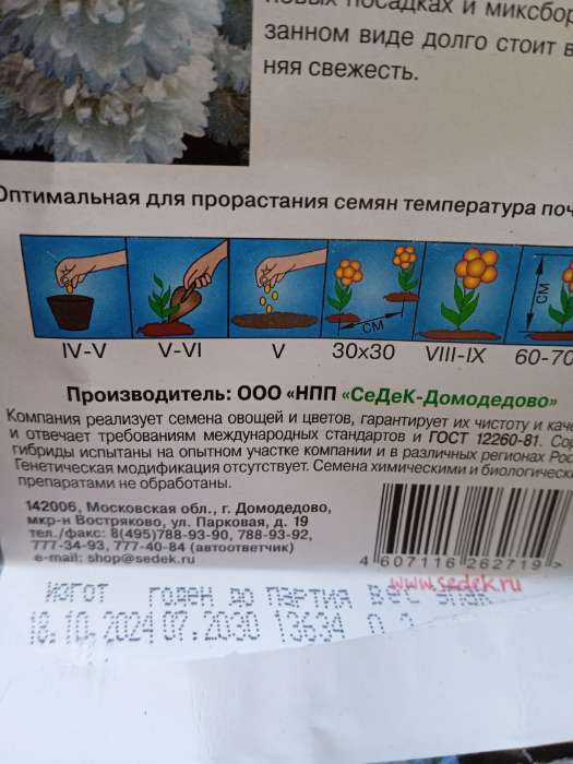 Фотография покупателя товара Семена Цветов Астра "Белые лебеди "0.2 г - Фото 4