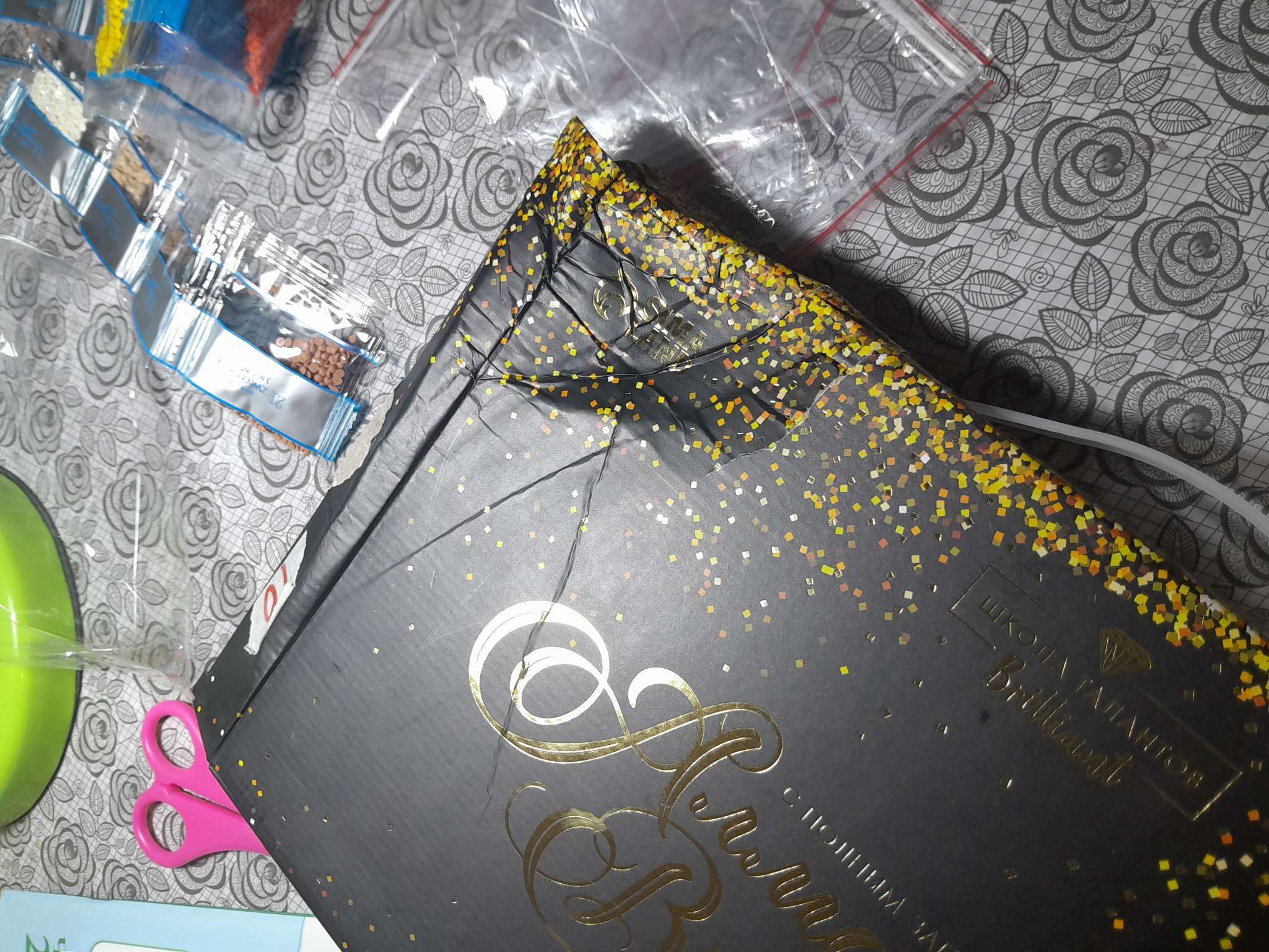 Фотография покупателя товара Алмазная мозаика с полным заполнением на холсте «Близнецы путешественники», 20×30 см - Фото 1