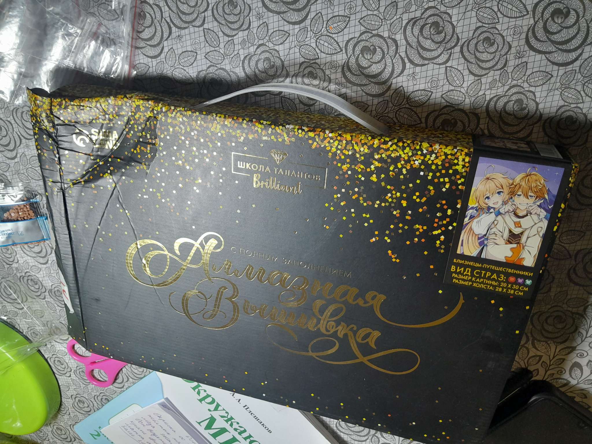 Фотография покупателя товара Алмазная мозаика с полным заполнением на холсте «Близнецы путешественники», 20×30 см - Фото 2