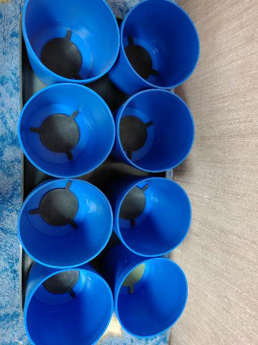 Фотография покупателя товара Набор для рассады: стаканы по 500 мл (8 шт.), поддон 40 × 20 см, цвет МИКС, Greengo