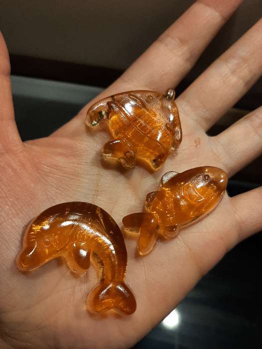 Фотография покупателя товара Форма для мармелада Доляна «Морской мир», силикон, 22×14×1 см, 14 ячеек, МИКС - Фото 12