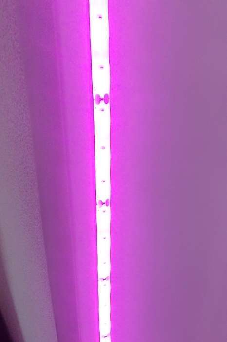 Фотография покупателя товара Фитолента для растений Luazon Lighting, светодиодная, 10.3 Вт, 3 м, IP65, 5 В, 60 LED/м, USB, SMD5050, мультиспектральная - Фото 2