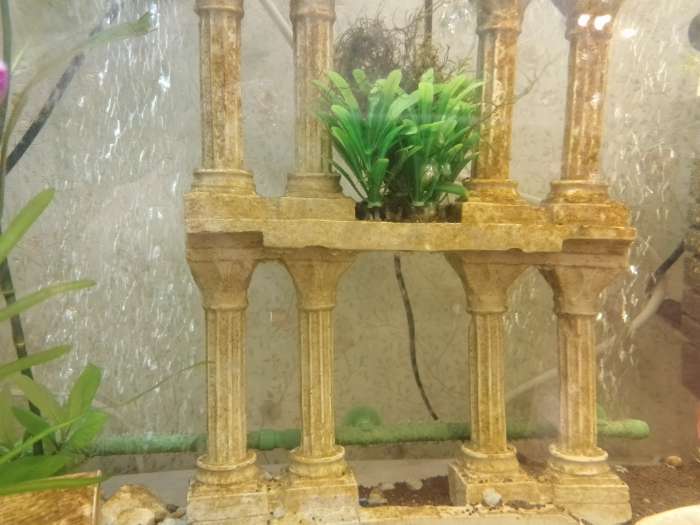 Фотография покупателя товара Распылитель воздуха на присосках, 35.6 см, голубой - Фото 1