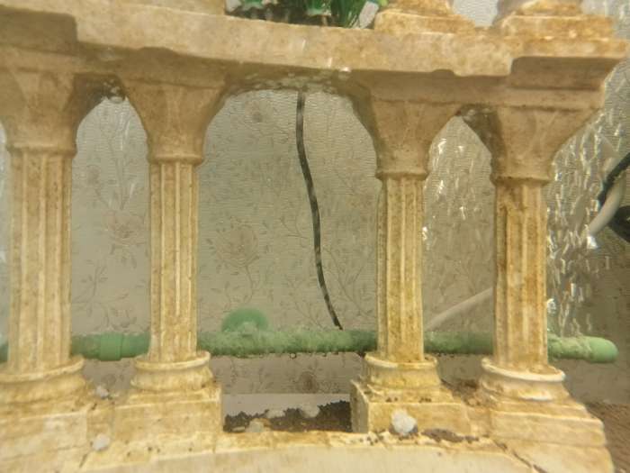 Фотография покупателя товара Распылитель воздуха на присосках, 35.6 см, голубой - Фото 2