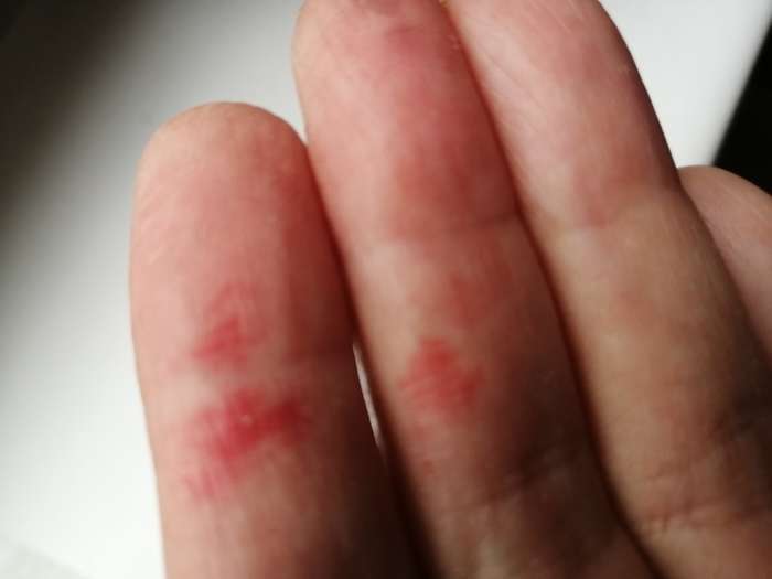 Фотография покупателя товара Сухоцвет «Батао» набор 20 шт., красный - Фото 8