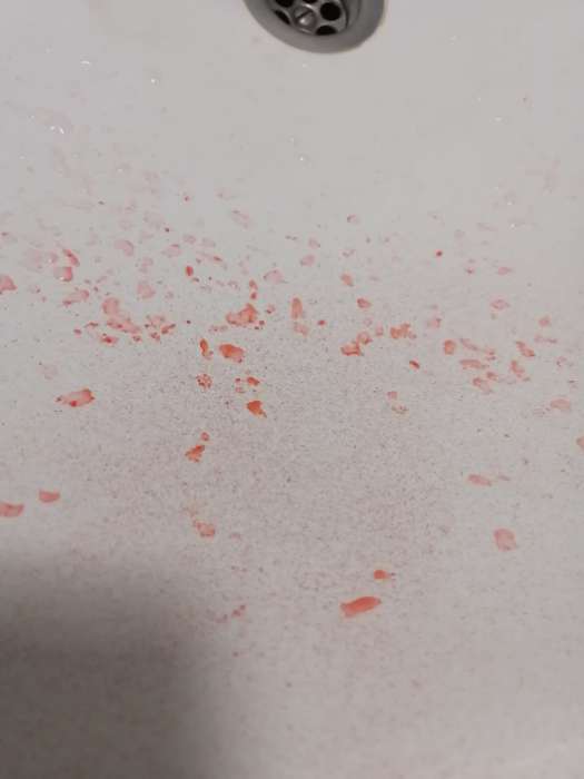 Фотография покупателя товара Сухоцвет «Батао» набор 20 шт., красный - Фото 10