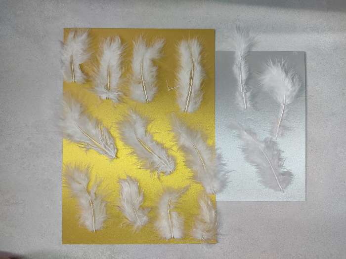 Фотография покупателя товара Набор перьев для декора 10 шт., размер 1 шт: 10 × 2 см, цвет белый - Фото 8