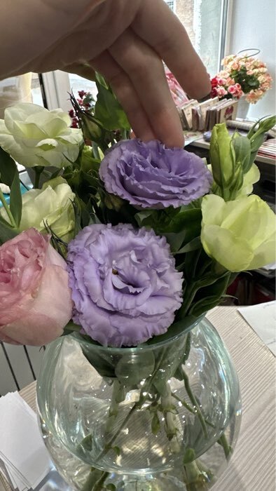 Фотография покупателя товара Семена Цветов Эустома «Корелли», F1, лавандовая, пробирка, «Агрофирма АЭЛИТА», 5 шт. - Фото 5