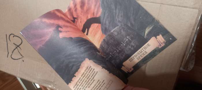 Фотография покупателя товара Квест книга-игра «Путешествие во времени», 18 страниц, 7+ - Фото 3