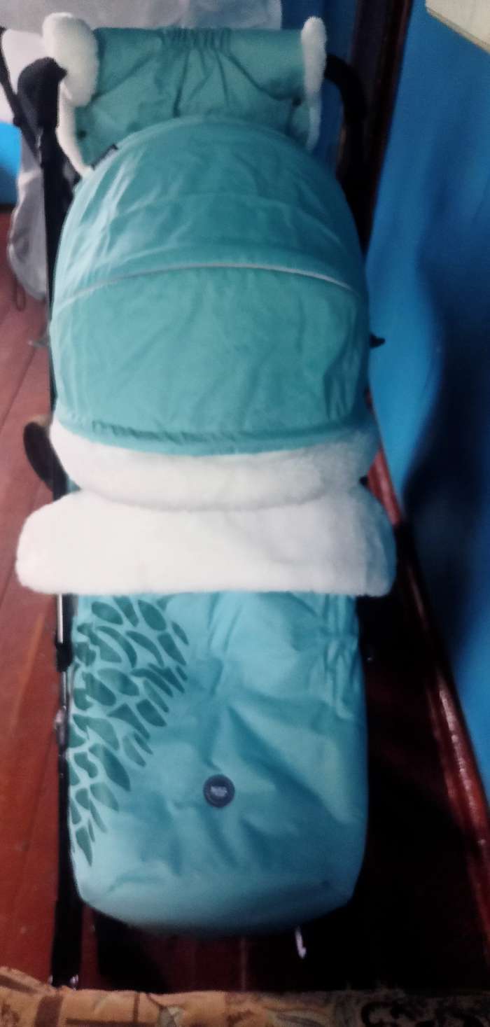 Фотография покупателя товара Санки-коляска «Ника Детям НД7-5 с шишкой», цвет мятный - Фото 1