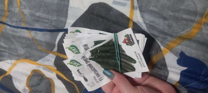 Фотография покупателя товара Семена Огурец «Китайский змей», среднепоздний, пчелоопыляемый, 0.3 г, «ХИТ-Гавриш» - Фото 2