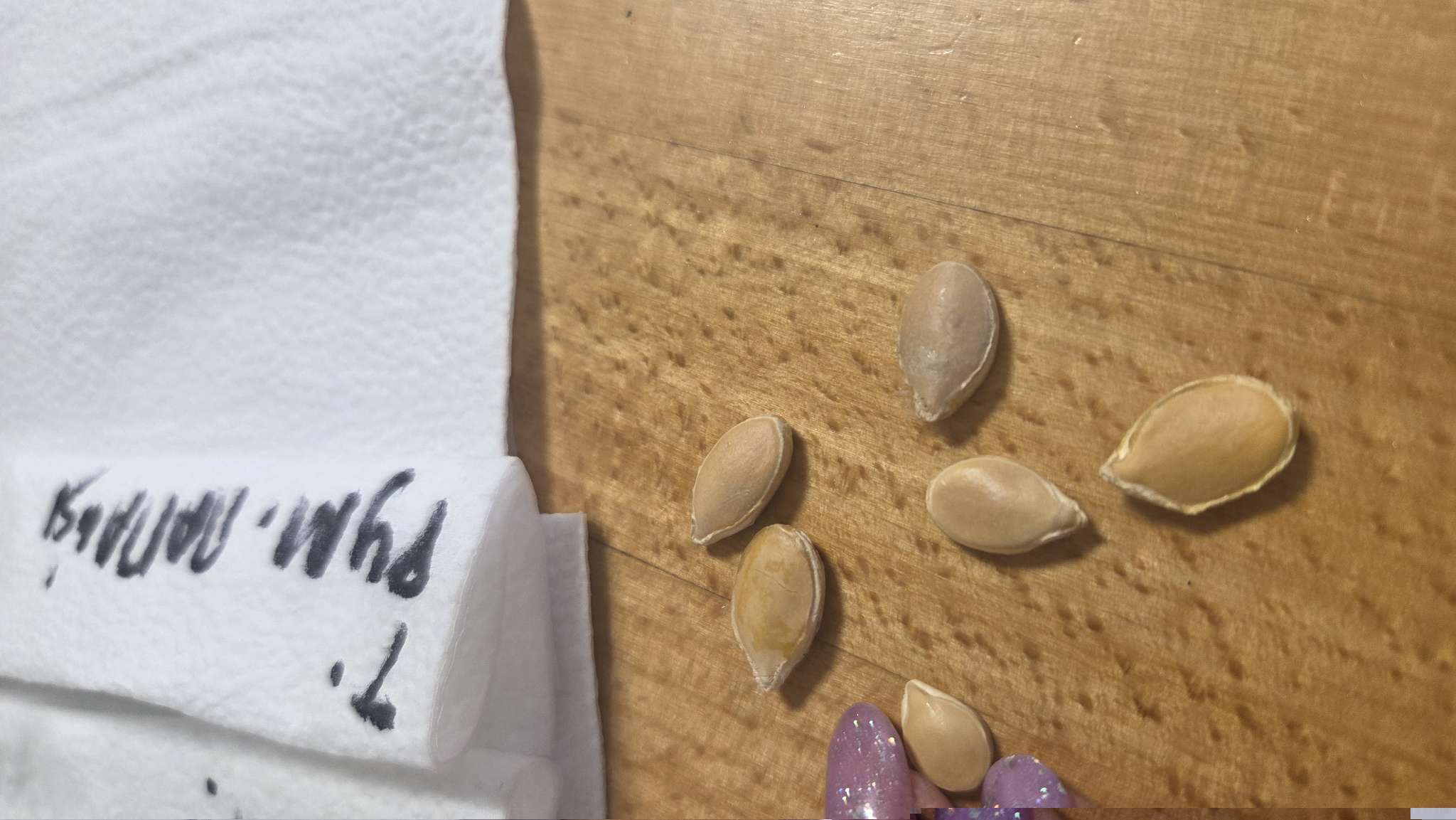 Фотография покупателя товара Семена Тыква «Румяная папайя», 6 шт. - Фото 3