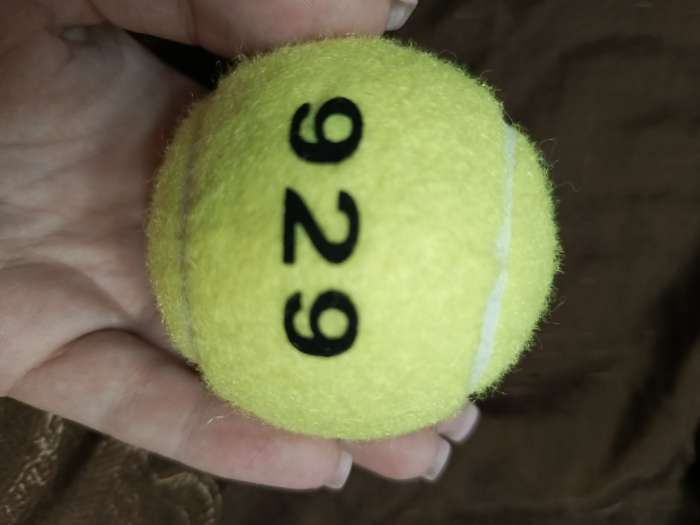 Фотография покупателя товара Мяч для большого тенниса ONLYTOP № 929, тренировочный - Фото 2