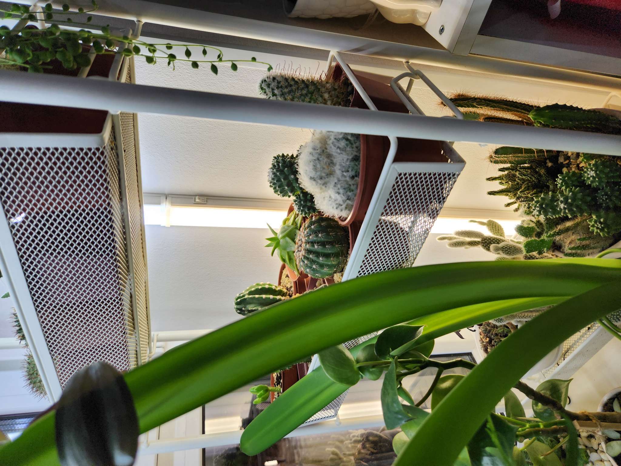 Фотография покупателя товара Светильник светодиодный T5, с выключателем, 12Вт, 1080Лм, 600мм, 4000К, 220 В, дневной свет - Фото 1