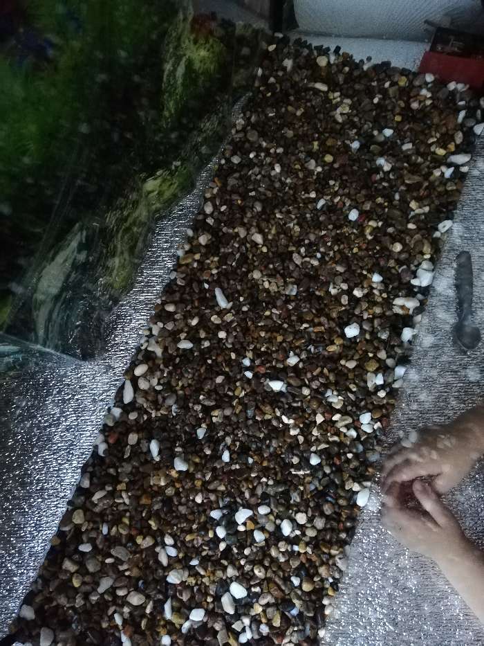 Фотография покупателя товара Грунт BARBUS гравий речной "Карамель" 3-7мм 3,5кг - Фото 3