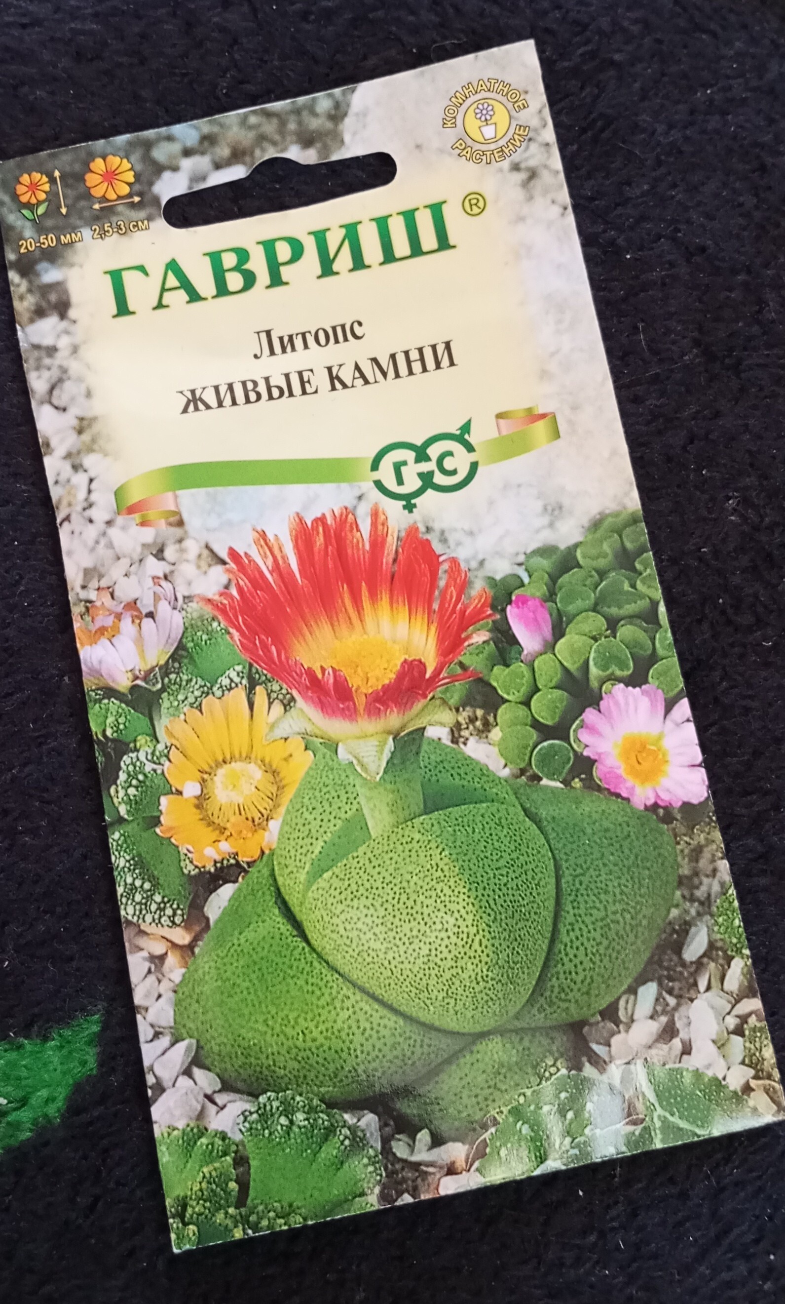 Фотография покупателя товара Семена комнатных цветов Литопс «Живые Камни», 5 шт., «Гавриш» - Фото 2