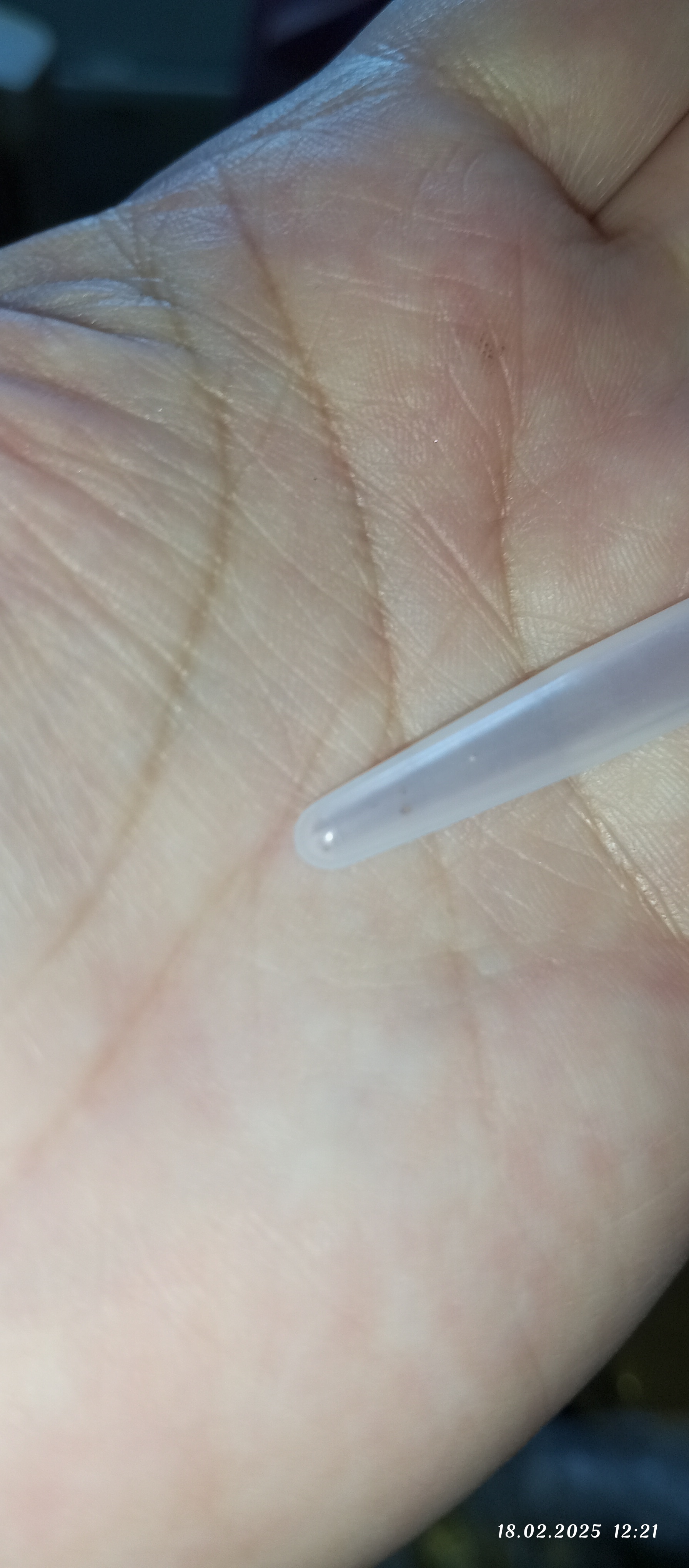 Фотография покупателя товара Семена комнатных цветов Литопс «Живые Камни», 5 шт., «Гавриш» - Фото 4