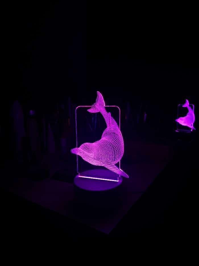 Фотография покупателя товара Светильник «Большой дельфин» LED RGB от сети RISALUX - Фото 2