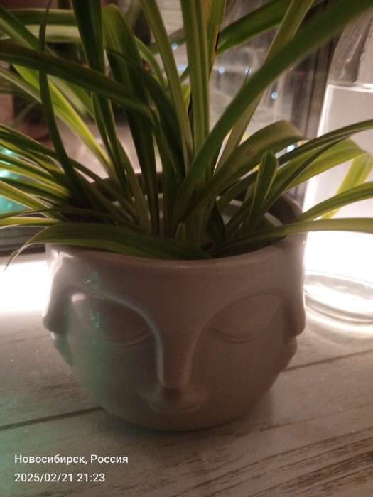 Фотография покупателя товара Кашпо «Многоликий» белое, 12×12×9 см - Фото 7