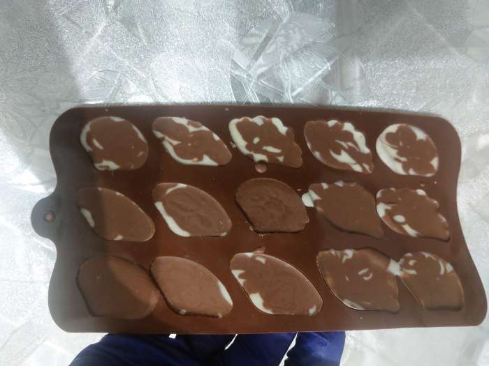 Фотография покупателя товара Форма для конфет и шоколада Доляна «Ракушки», силикон, 23×12×1.5 см, 14 ячеек, МИКС - Фото 1