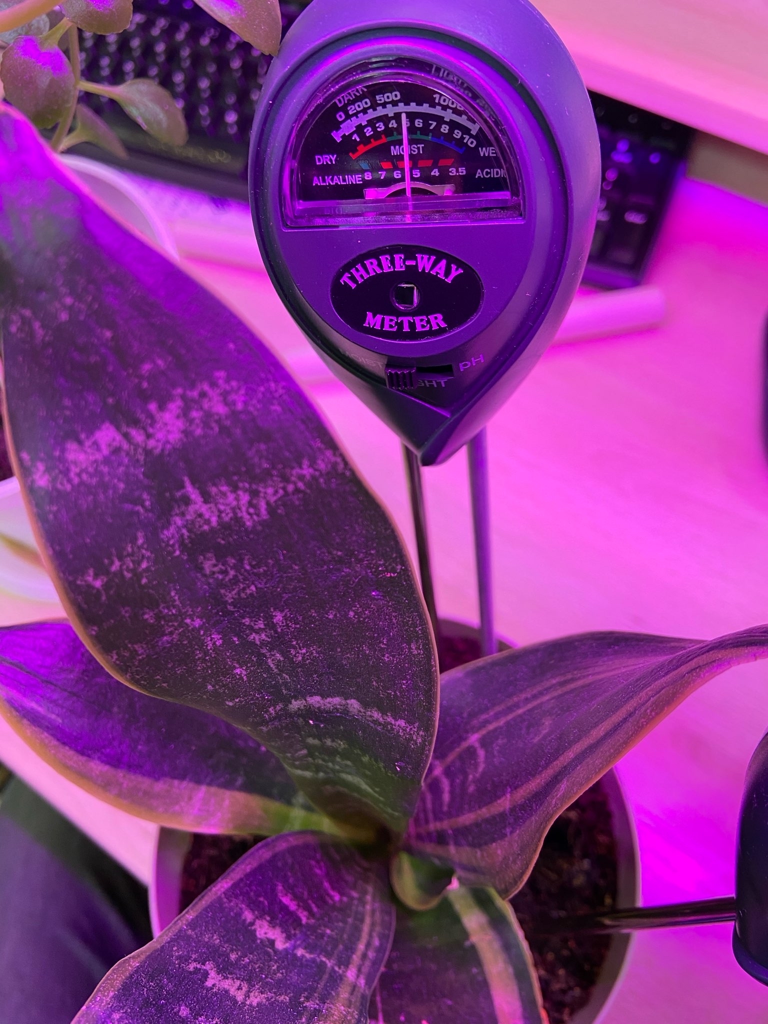 Фотография покупателя товара Измеритель почвы 3 в 1: для влажности, кислотности, освещённости, цвет МИКС, Greengo