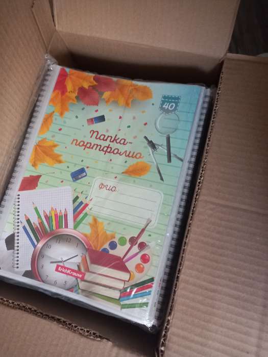 Фотография покупателя товара Папка-портфолио с 40 вкладышами А4, 550 мкм, ErichKrause School Time, на спирали, с рисунком - Фото 1