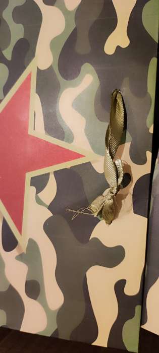 Фотография покупателя товара Пакет подарочный ламинированный вертикальный «23 февраля», 18×23×10 см - Фото 1