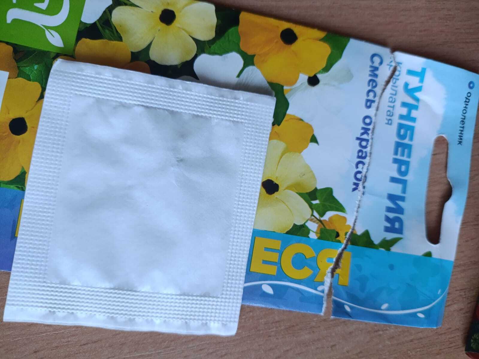 Фотография покупателя товара Семена Тунбергия "Смесь окрасок", ц/п, 0,2гр. - Фото 1