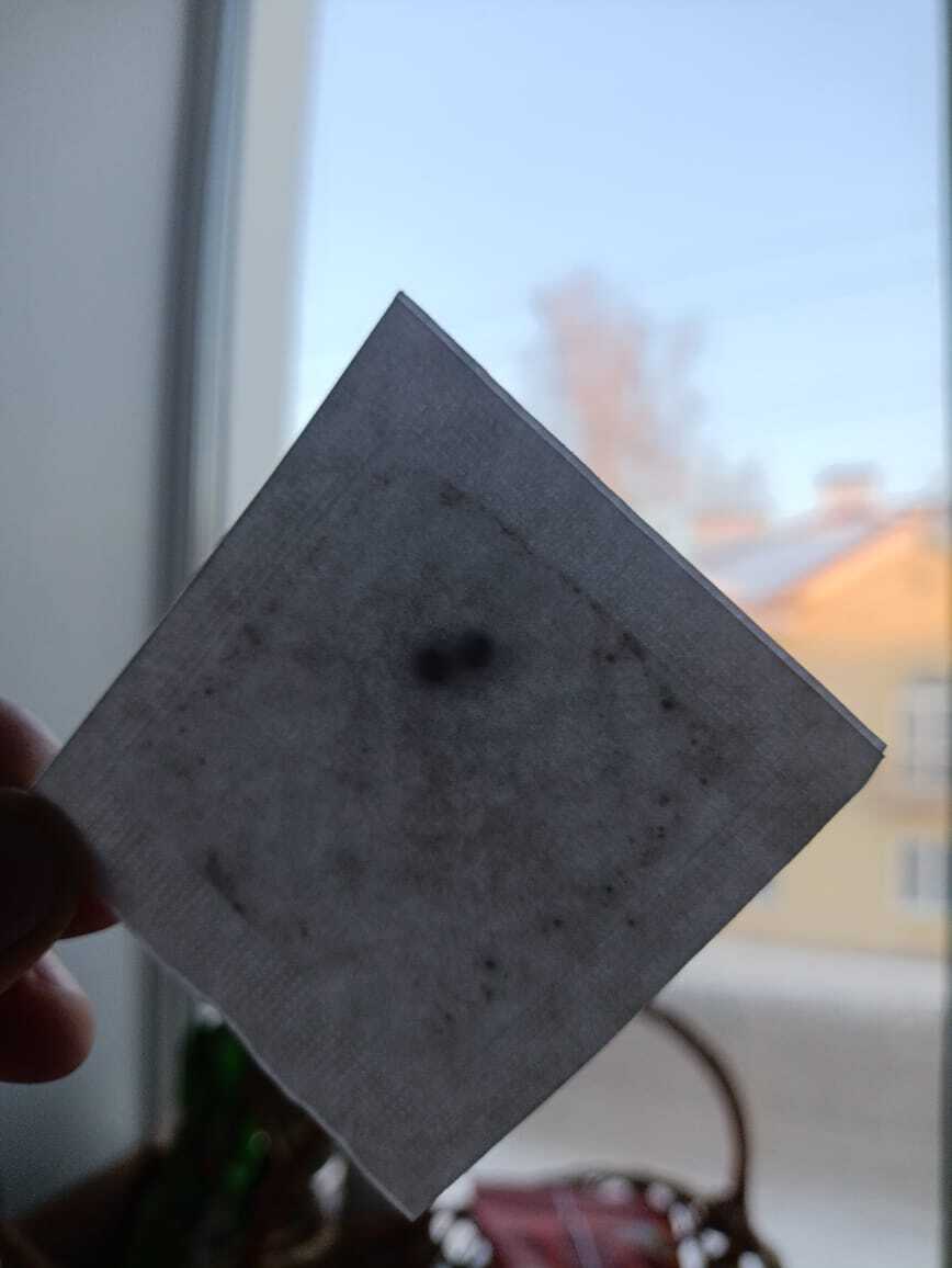 Фотография покупателя товара Семена Тунбергия "Смесь окрасок", ц/п, 0,2гр. - Фото 4