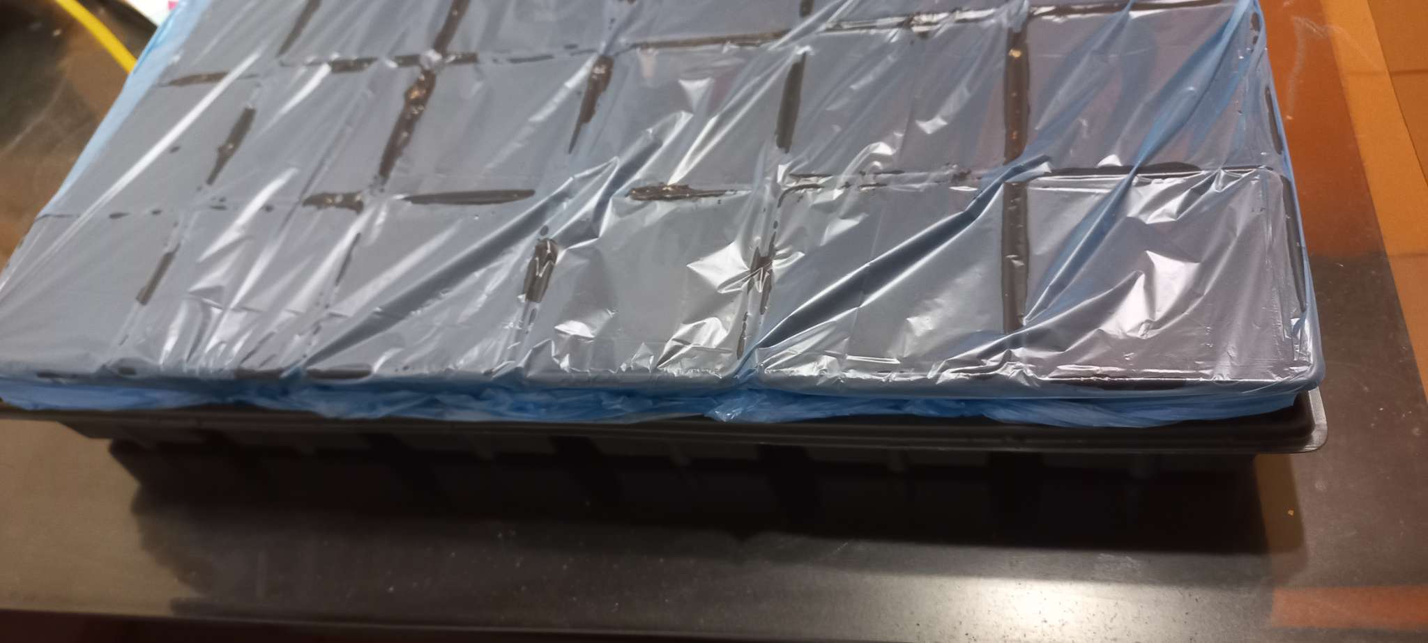 Фотография покупателя товара Набор для рассады: стаканы по 320 мл (18 шт.), поддон 51×26 см, Greengo - Фото 15