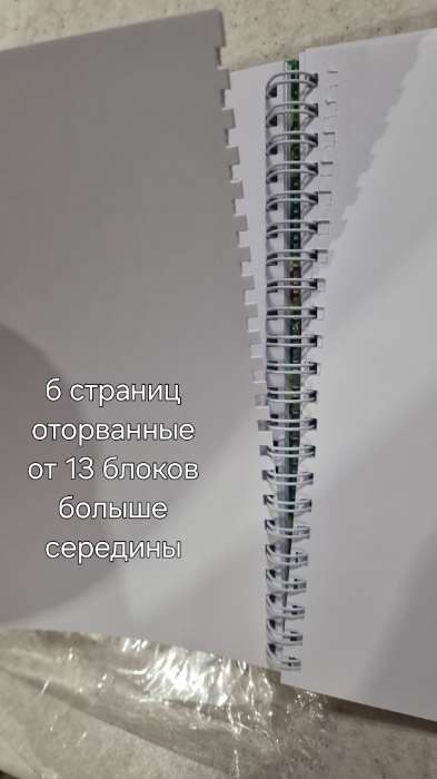 Фотография покупателя товара Скетчбук в твердой обложке на гребне А5, 80 л. 100 г/м «Мопс» - Фото 14