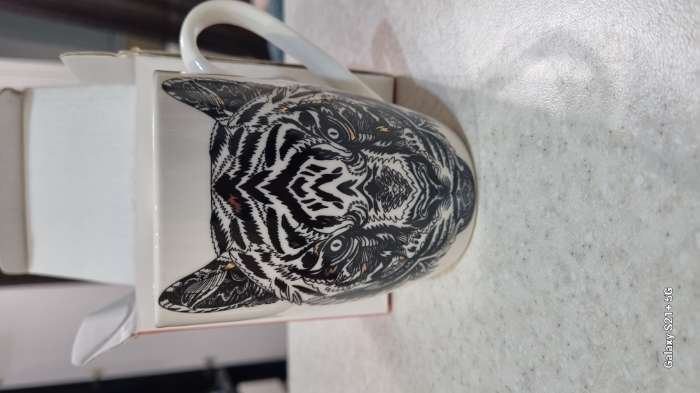 Фотография покупателя товара Кружка Доляна «Пантера», 350 мл, фарфор - Фото 8