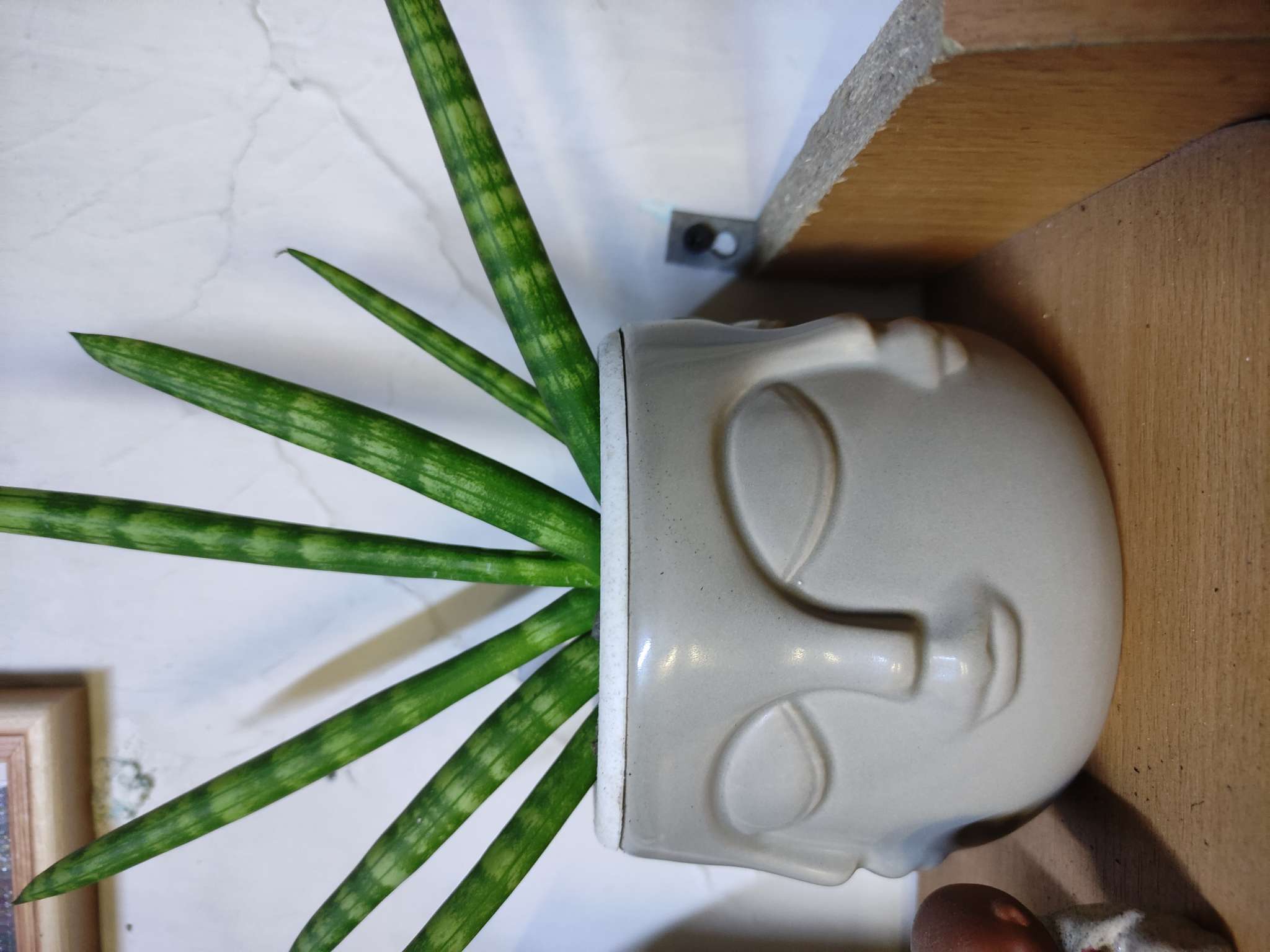 Фотография покупателя товара Кашпо «Многоликий» белое, 12×12×9 см - Фото 5