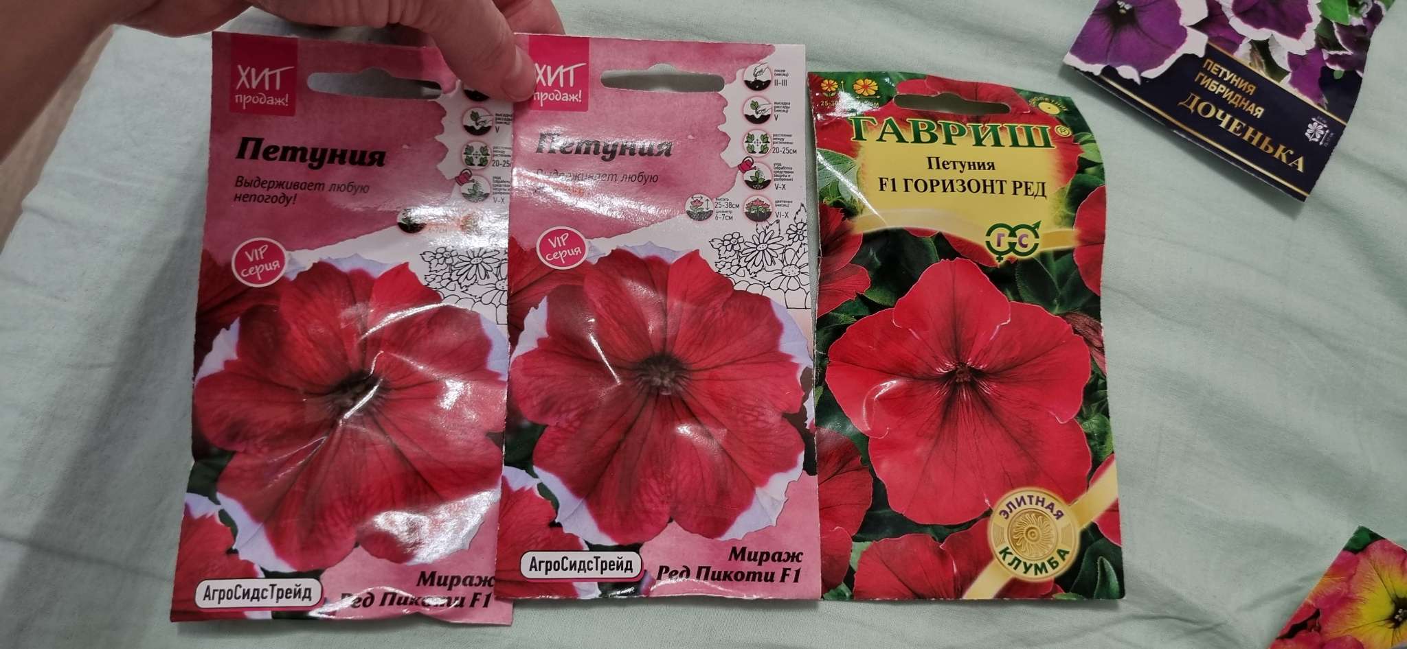 Фотография покупателя товара Семена Цветов  Петуния "Мираж Ред Пикоти", 10шт - Фото 18