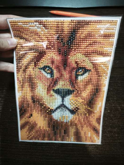 Фотография покупателя товара Алмазная мозаика с полным заполнением на холсте «Лев», 15×21 см - Фото 1