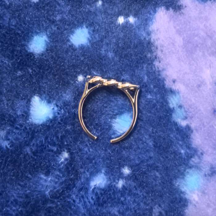 Фотография покупателя товара Кольцо «Цепь» три звена, цвет серебро, безразмерное - Фото 1