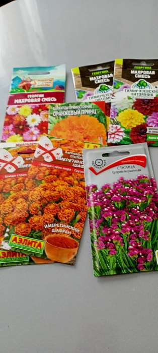 Фотография покупателя товара Семена цветов Георгина "Махровая" смесь, О, 0,2 г - Фото 1