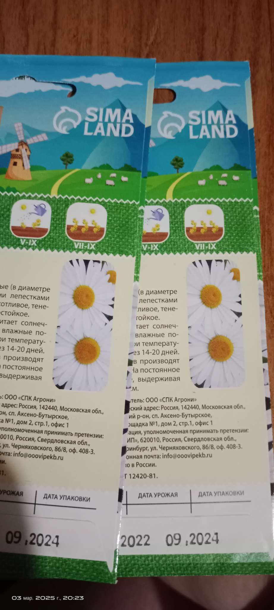 Фотография покупателя товара Семена цветов Ромашки "Аляска", 0,3 г - Фото 2