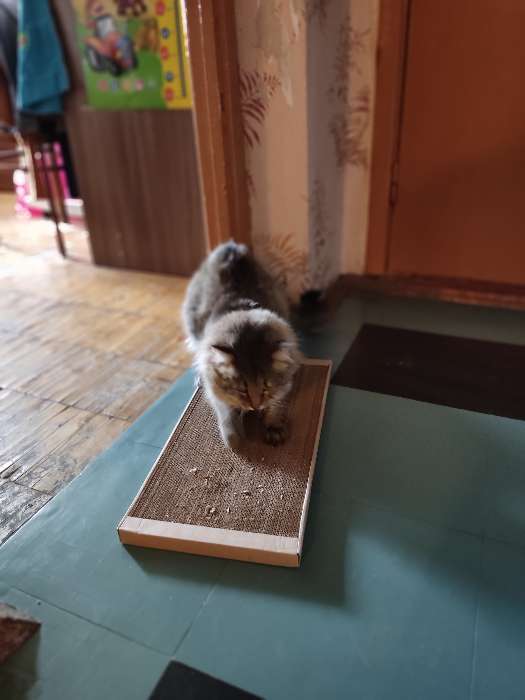 Фотография покупателя товара Когтеточка для кошек ТМ «Когтедралка» КРАФТ 50х24х2,5 см