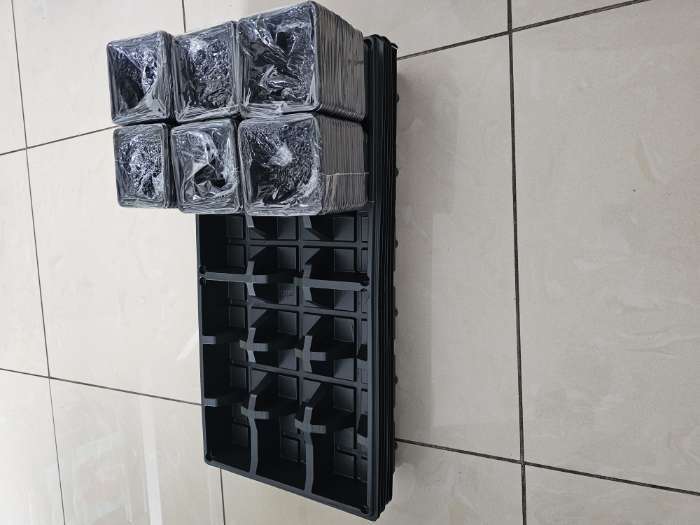 Фотография покупателя товара Набор для рассады: стаканы по 320 мл (18 шт.), поддон 51×26 см, Greengo - Фото 11