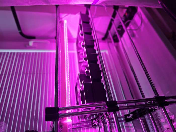 Фотография покупателя товара Набор для рассады: стаканы по 320 мл (18 шт.), поддон 51×26 см, Greengo - Фото 13